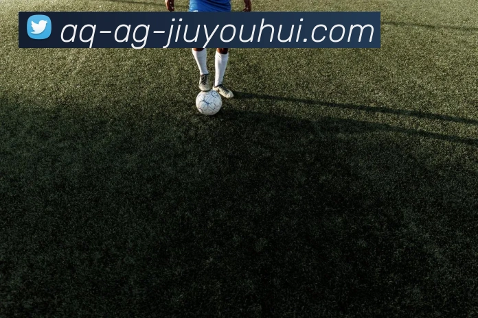 AG九游会官网平台生态图