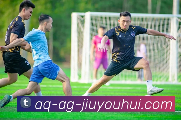 AG九游会官网APP 封面图